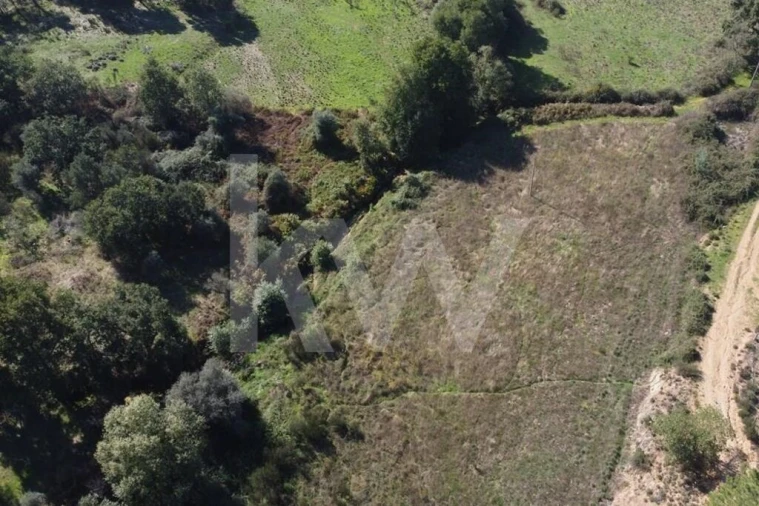 Quinta T5 para Venda em Souto da Casa Foto 18