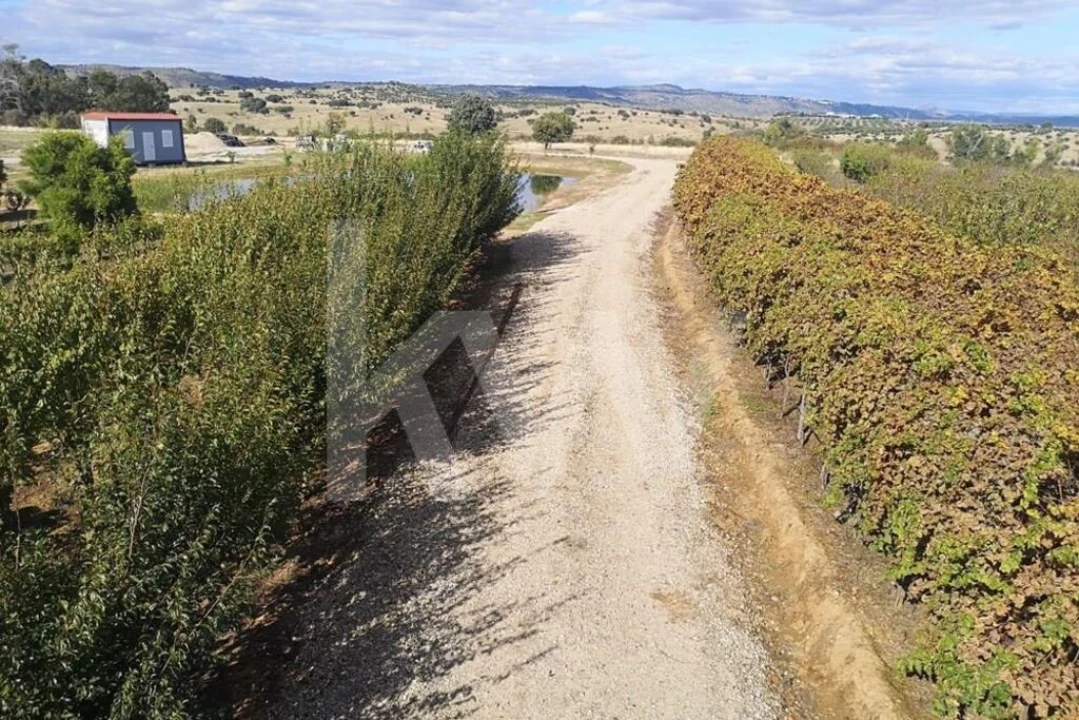 Terreno para Venda em Ladoeiro Foto 37