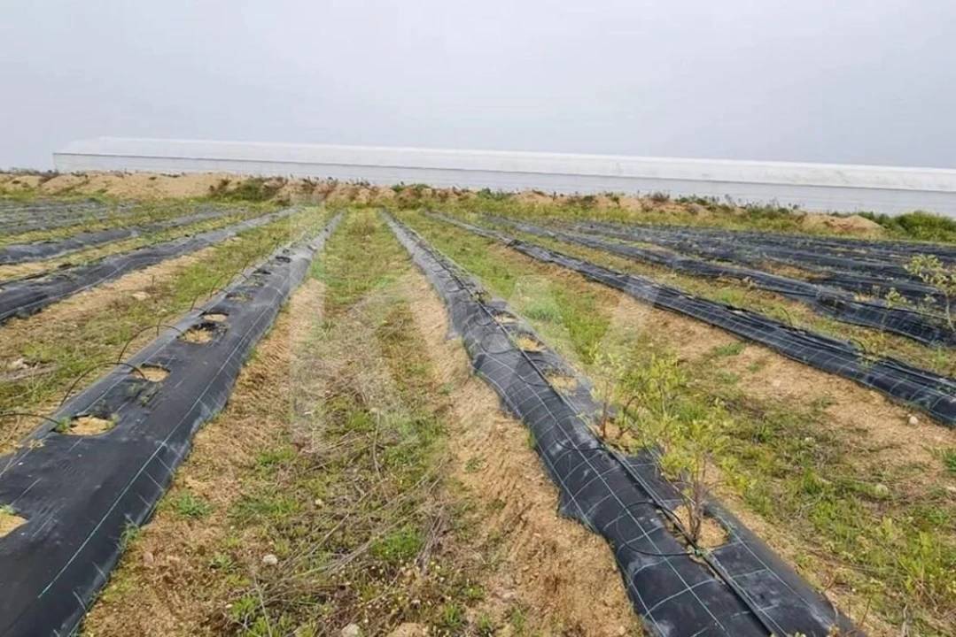 Terreno para Venda em Ladoeiro Foto 50