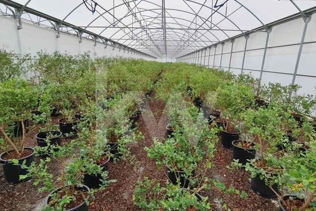 Terreno para Venda em Ladoeiro Foto 54