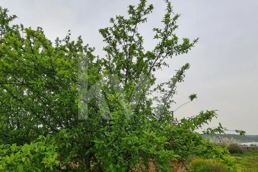 Terreno para Venda em Ladoeiro Foto 55
