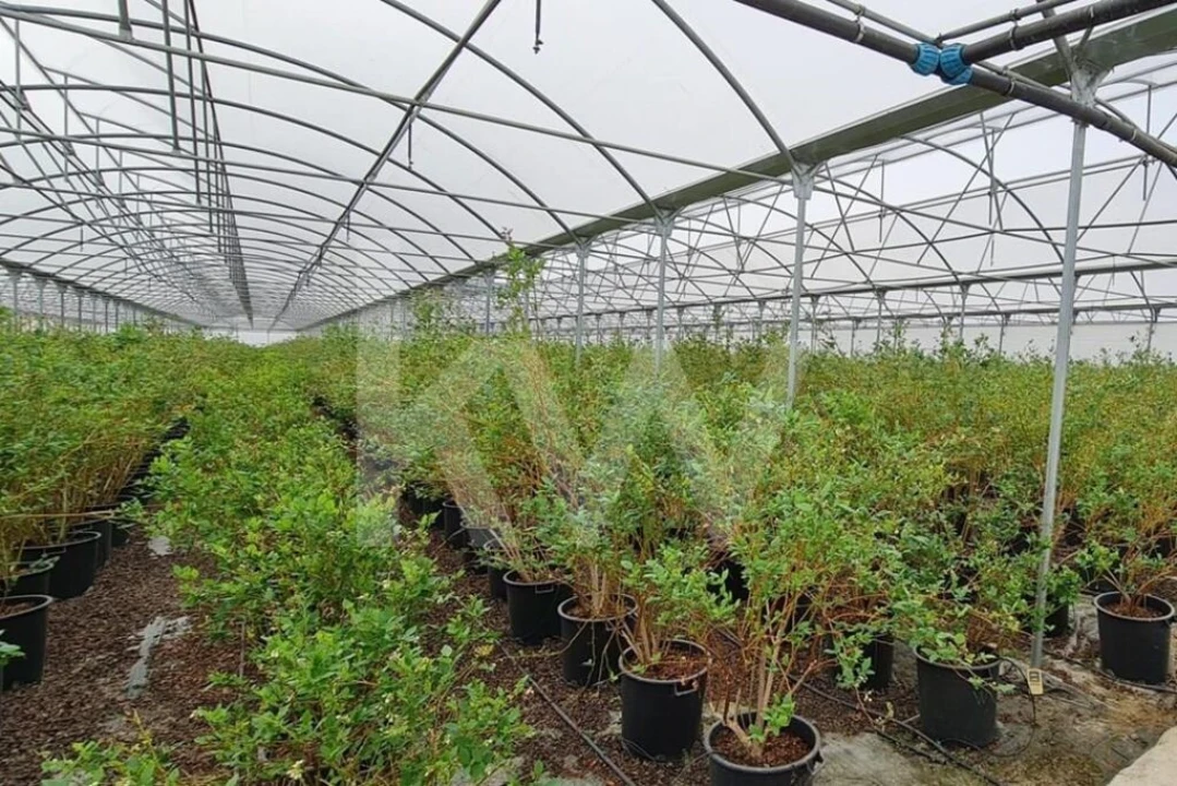 Terreno para Venda em Ladoeiro Foto 57