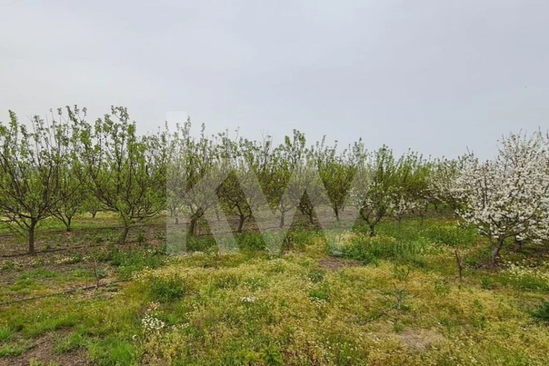 Terreno para Venda em Ladoeiro Foto 58