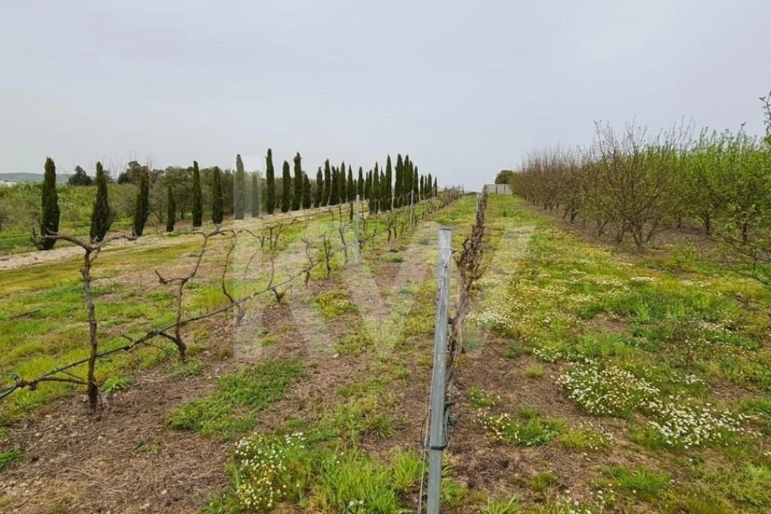 Terreno para Venda em Ladoeiro Foto 60