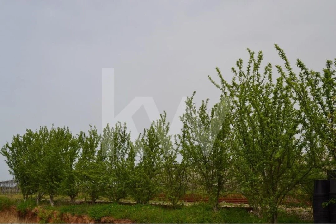 Terreno para Venda em Ladoeiro Foto 78