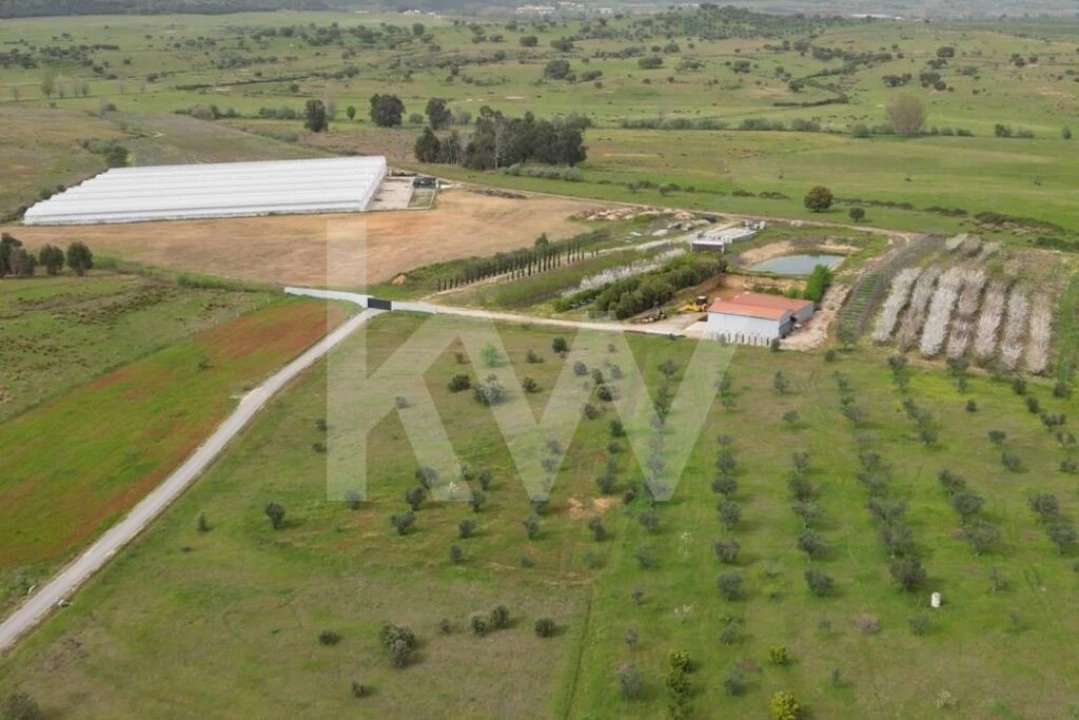 Terreno para Venda em Ladoeiro Foto 96