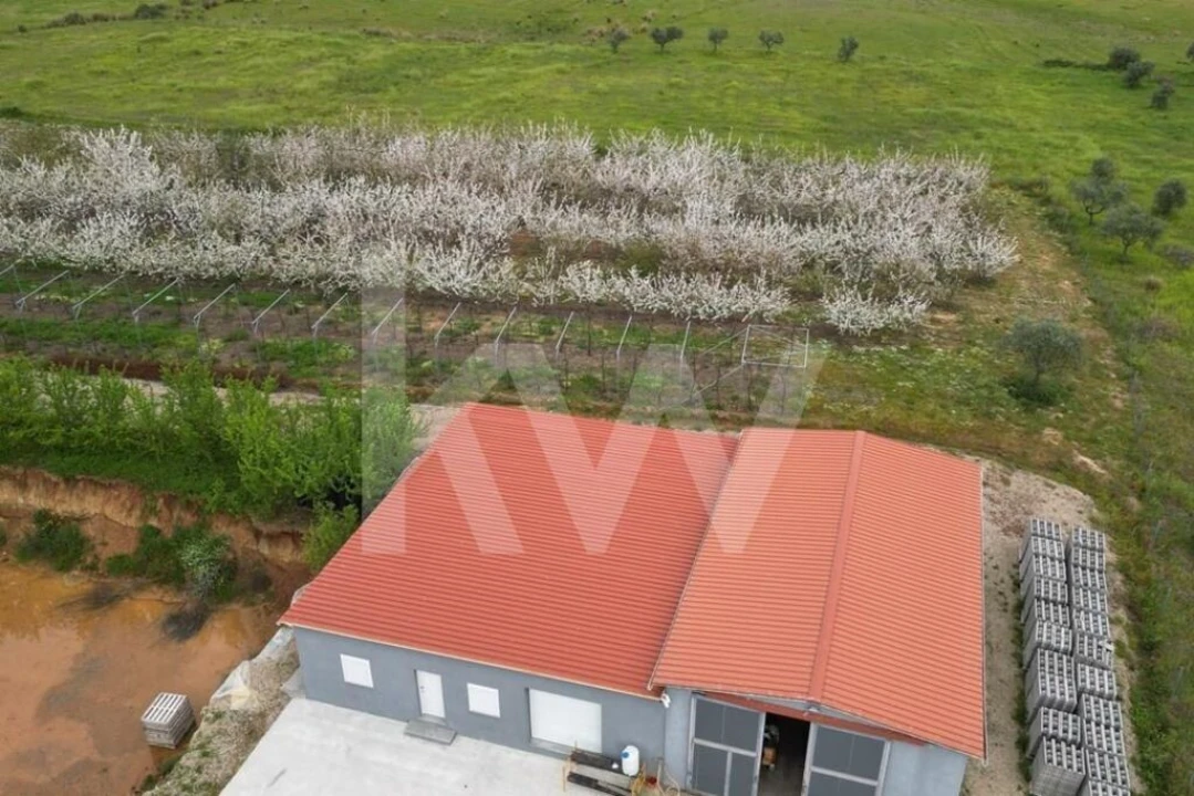 Terreno para Venda em Ladoeiro Foto 103