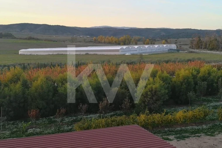 Terreno para Venda em Ladoeiro Foto 30