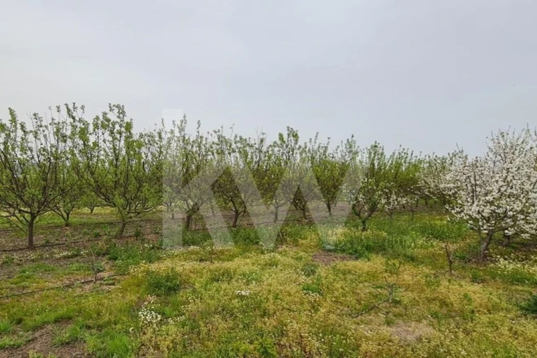 Terreno para Venda em Ladoeiro Foto 58