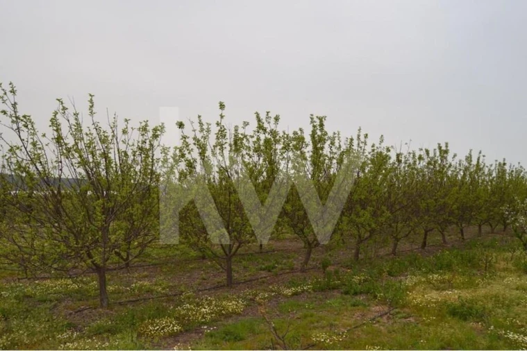 Terreno para Venda em Ladoeiro Foto 85