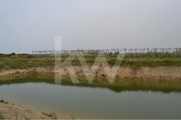 Terreno para Venda em Ladoeiro Foto 88