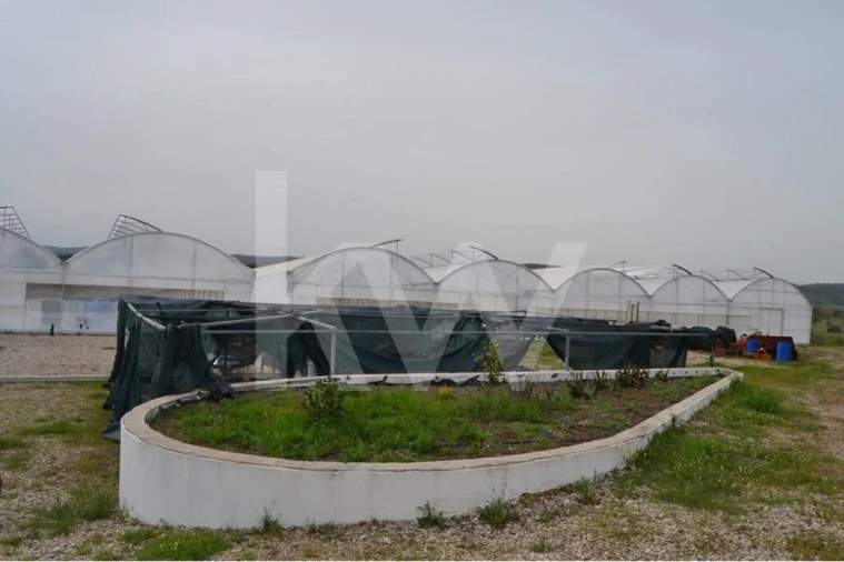 Terreno para Venda em Ladoeiro Foto 90