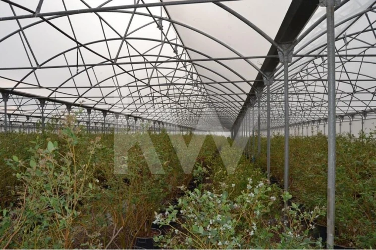 Terreno para Venda em Ladoeiro Foto 92