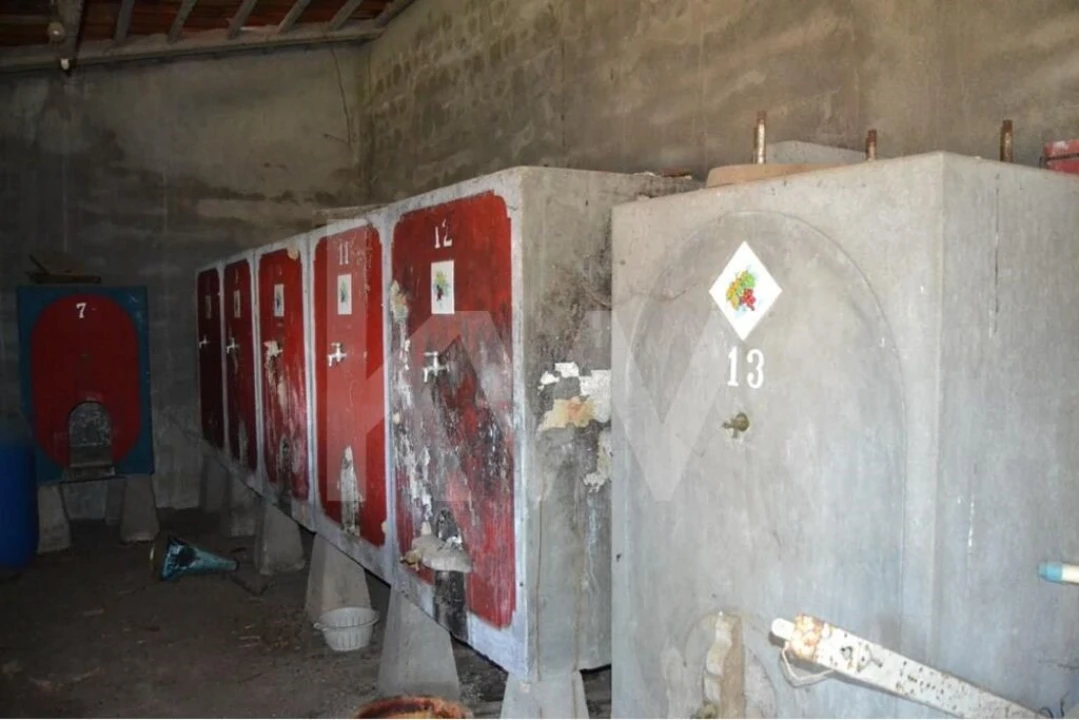 Quinta T4 para Venda em Ladoeiro Foto 31