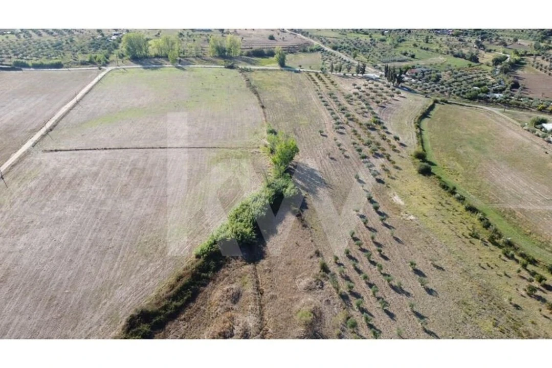 Quinta T4 para Venda em Ladoeiro Foto 46