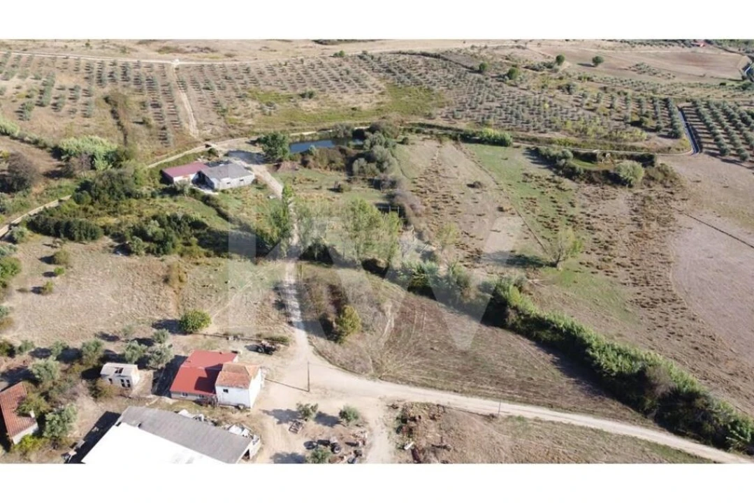 Quinta T4 para Venda em Ladoeiro Foto 54