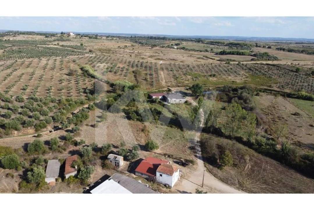 Quinta T4 para Venda em Ladoeiro Foto 56