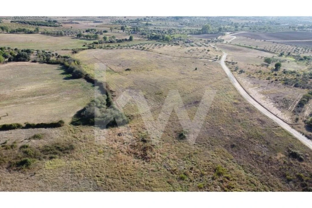 Quinta T4 para Venda em Ladoeiro Foto 68