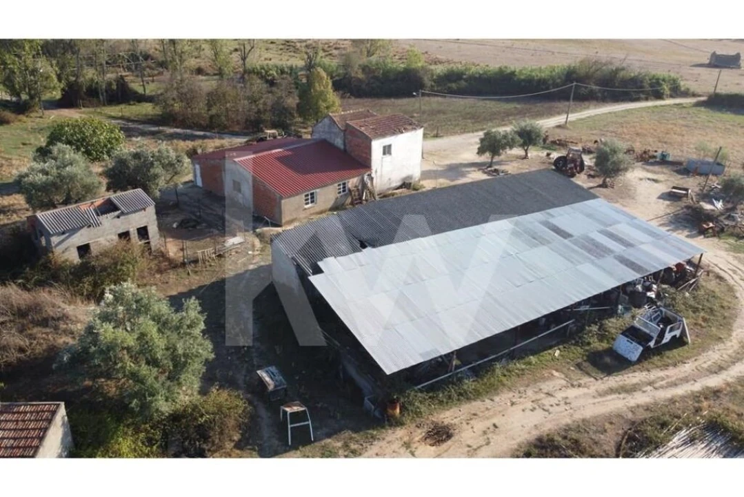 Quinta T4 para Venda em Ladoeiro Foto 75