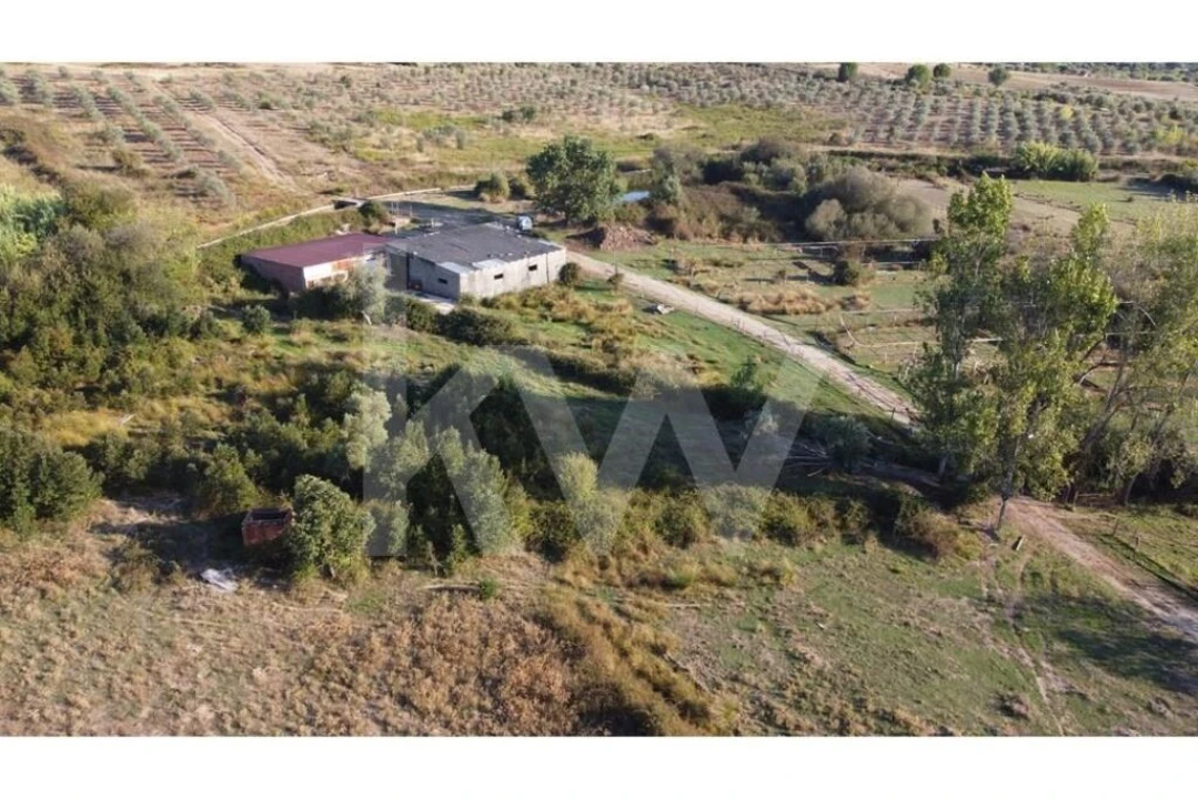 Quinta T4 para Venda em Ladoeiro Foto 77