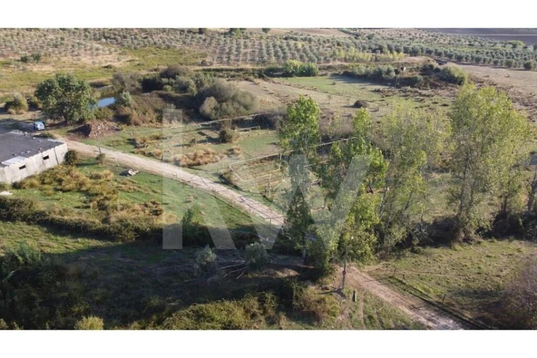 Quinta T4 para Venda em Ladoeiro Foto 78