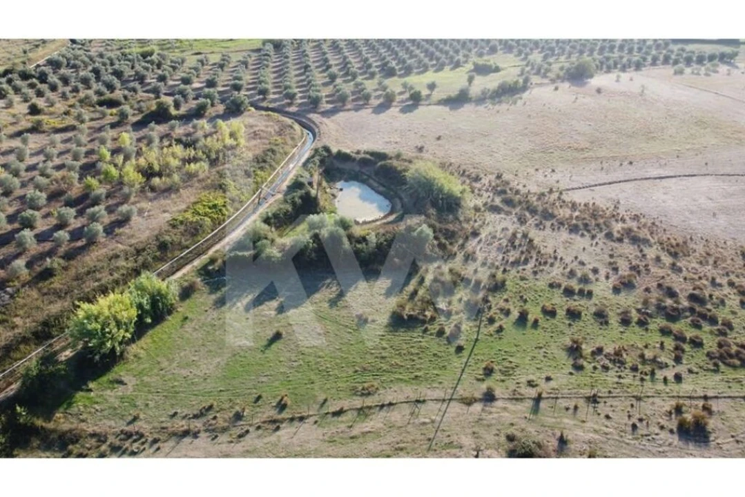 Quinta T4 para Venda em Ladoeiro Foto 82