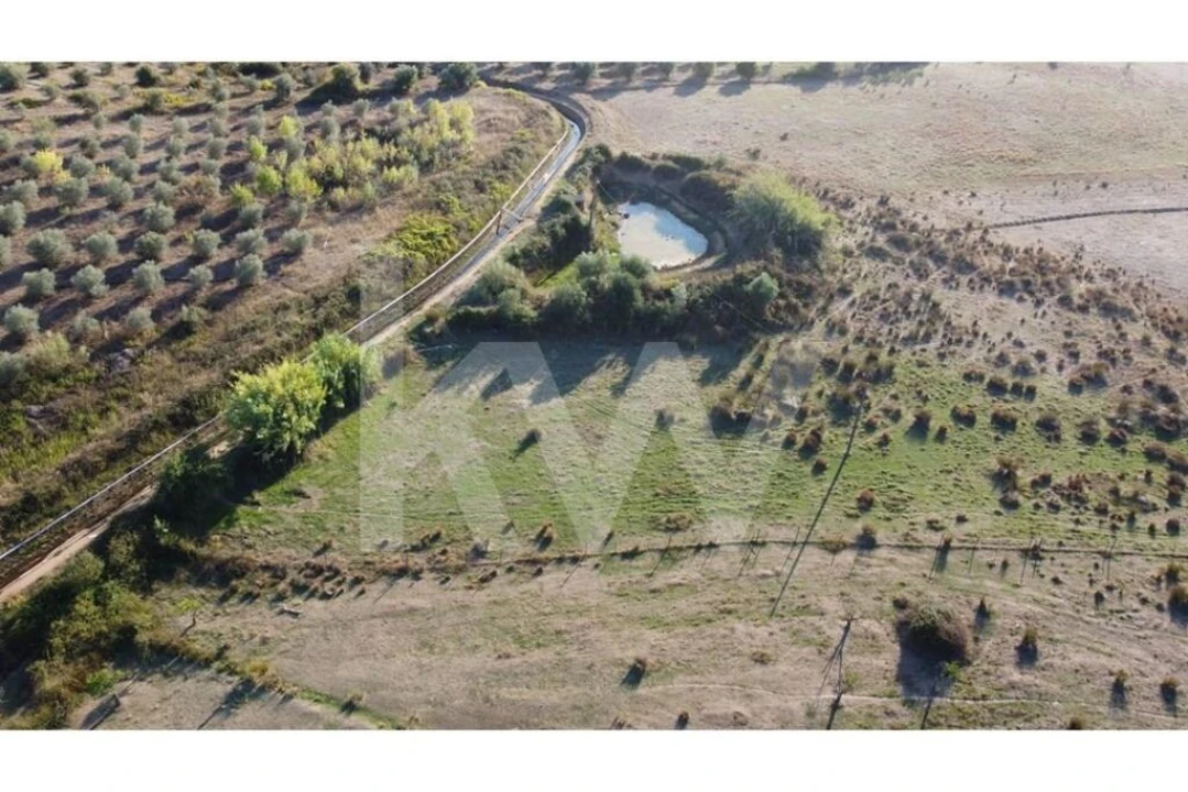 Quinta T4 para Venda em Ladoeiro Foto 84