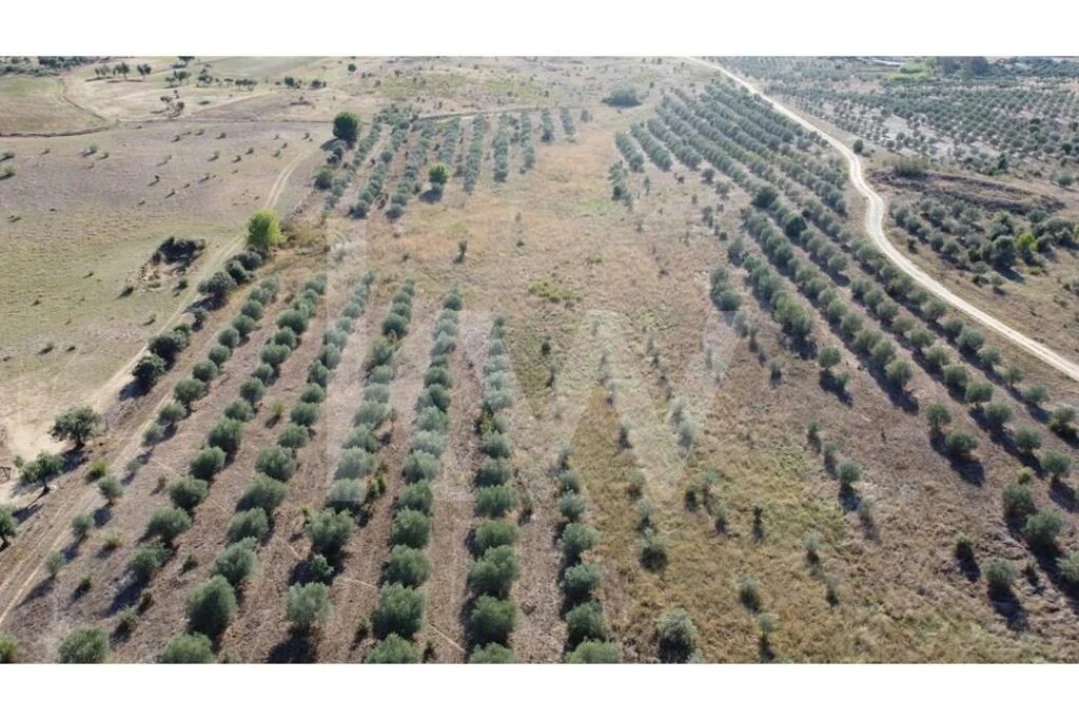 Quinta T4 para Venda em Ladoeiro Foto 89