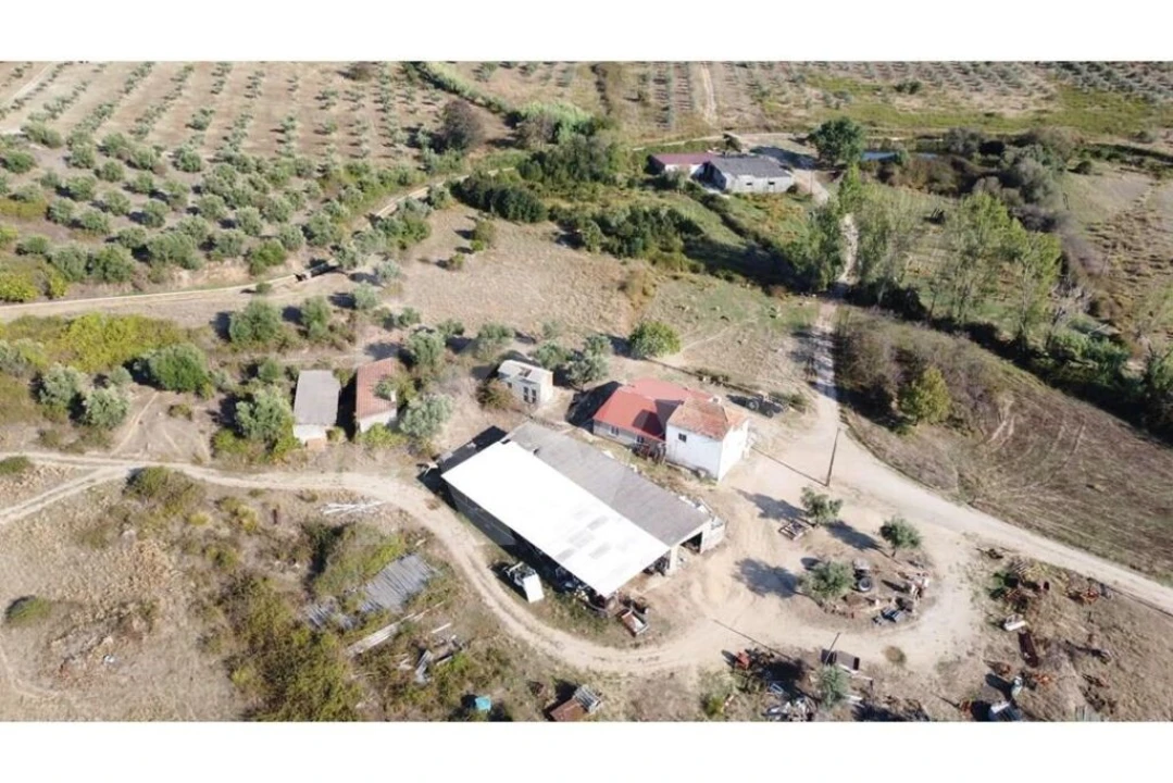 Quinta T4 para Venda em Ladoeiro Foto 90