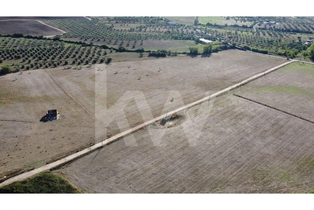 Quinta T4 para Venda em Ladoeiro Foto 103