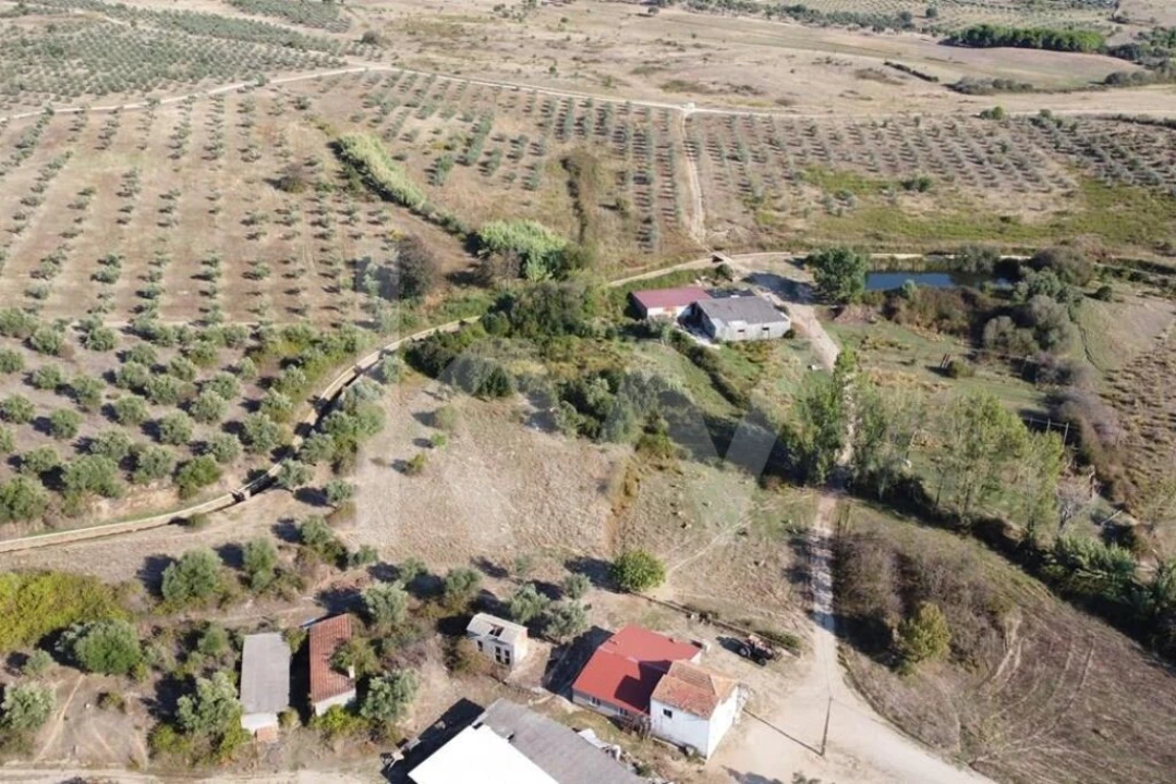 Quinta T4 para Venda em Ladoeiro Foto 106