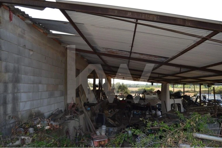 Quinta T4 para Venda em Ladoeiro Foto 11