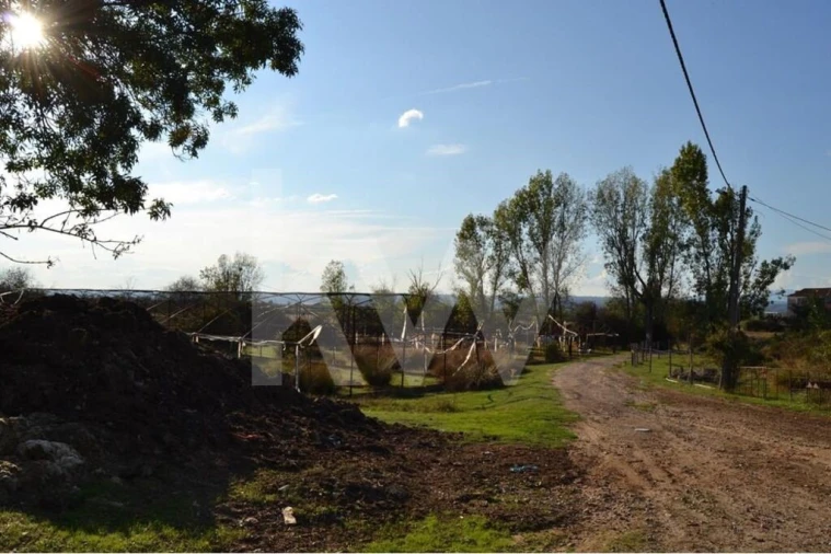 Quinta T4 para Venda em Ladoeiro Foto 29