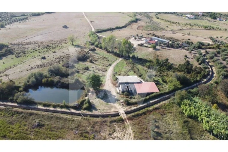 Quinta T4 para Venda em Ladoeiro Foto 36