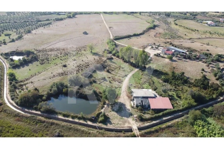 Quinta T4 para Venda em Ladoeiro Foto 38