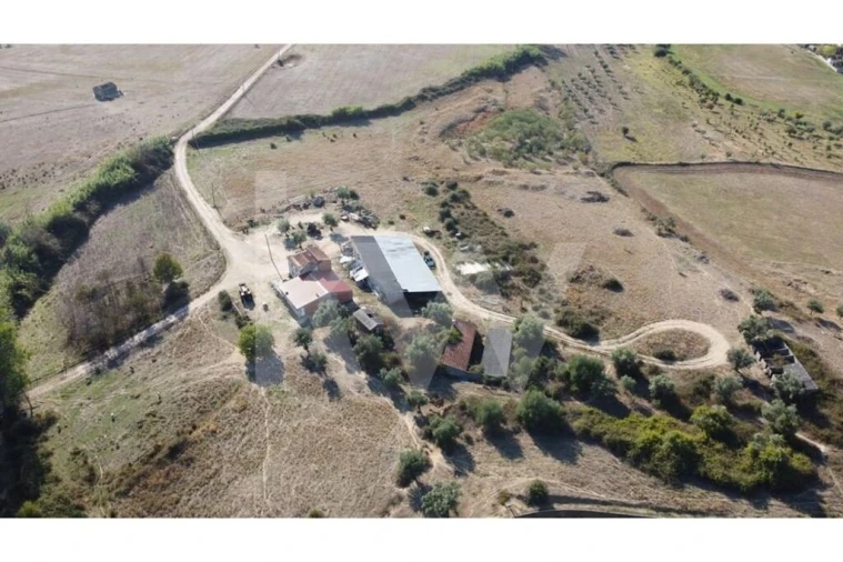 Quinta T4 para Venda em Ladoeiro Foto 42