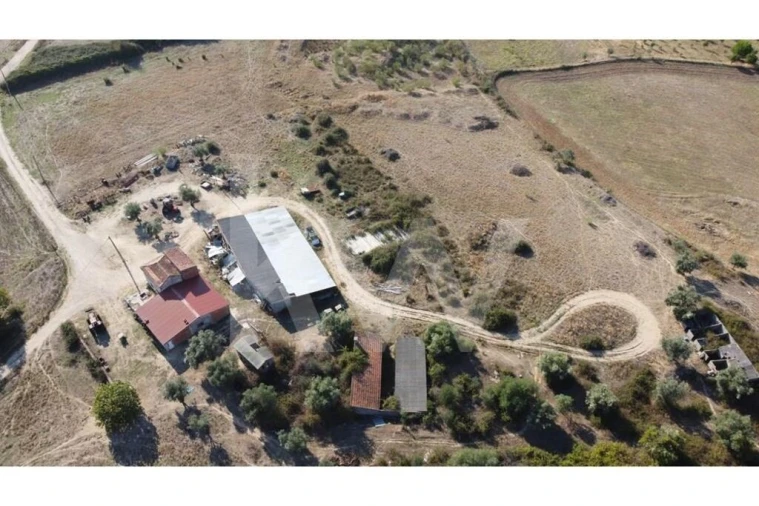 Quinta T4 para Venda em Ladoeiro Foto 43