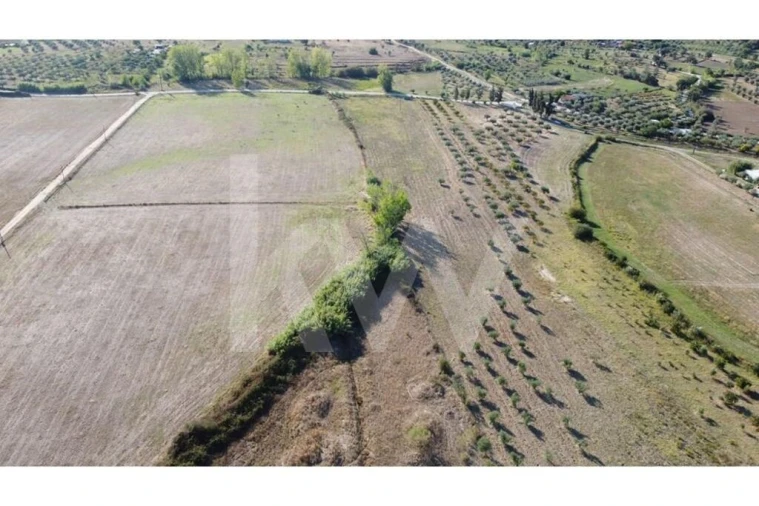 Quinta T4 para Venda em Ladoeiro Foto 46