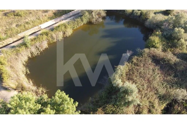 Quinta T4 para Venda em Ladoeiro Foto 79