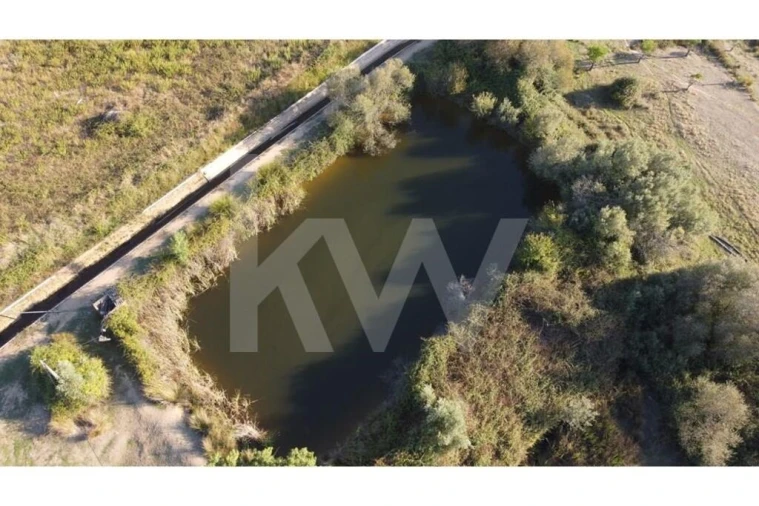 Quinta T4 para Venda em Ladoeiro Foto 80