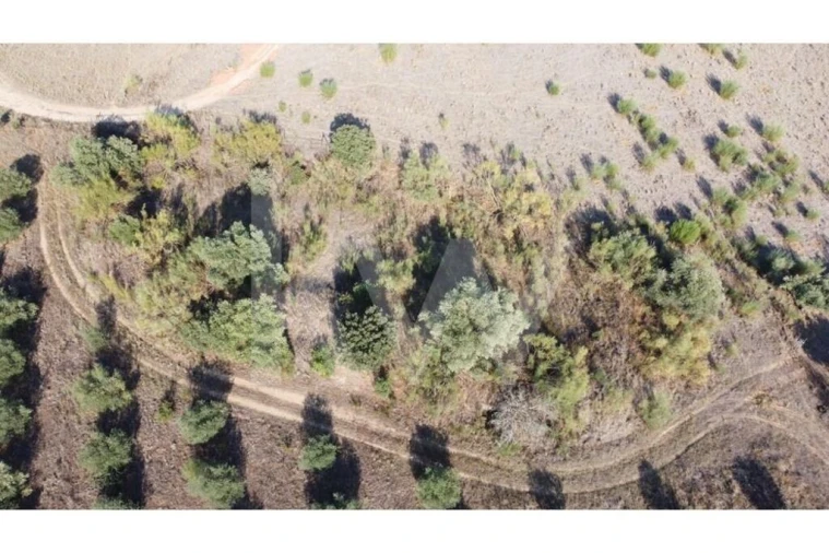 Quinta T4 para Venda em Ladoeiro Foto 87