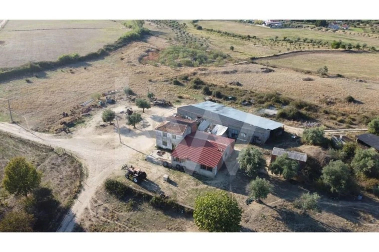 Quinta T4 para Venda em Ladoeiro Foto 98