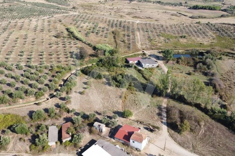 Quinta T4 para Venda em Ladoeiro Foto 106