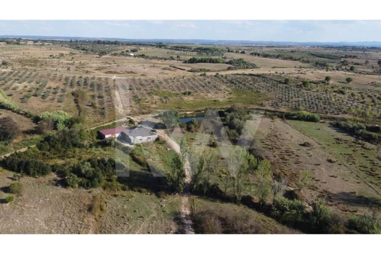 Quinta T4 para Venda em Ladoeiro Foto 108