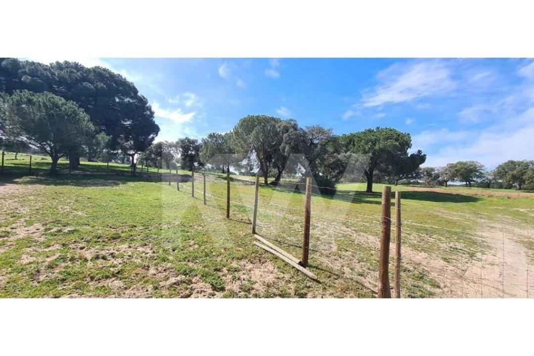 Quinta T4 para Venda em Benavente Foto 12