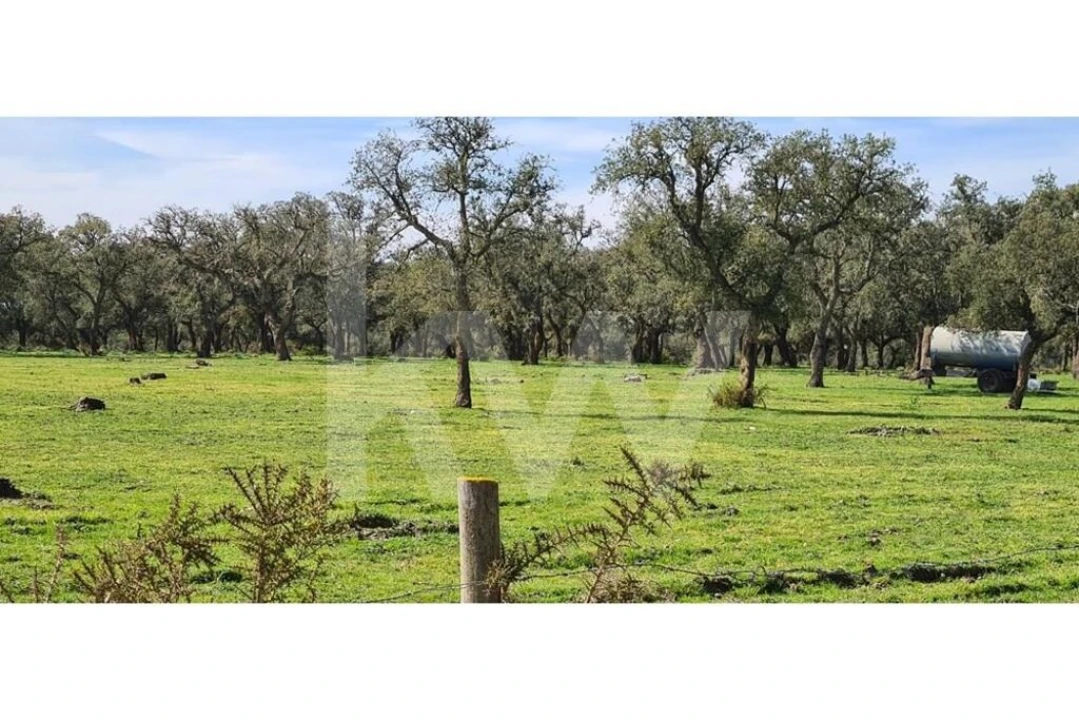 Quinta T4 para Venda em Benavente Foto 14