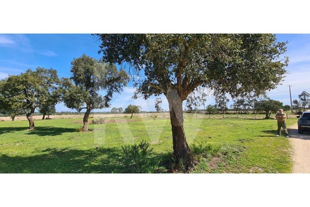 Quinta T4 para Venda em Benavente Foto 16