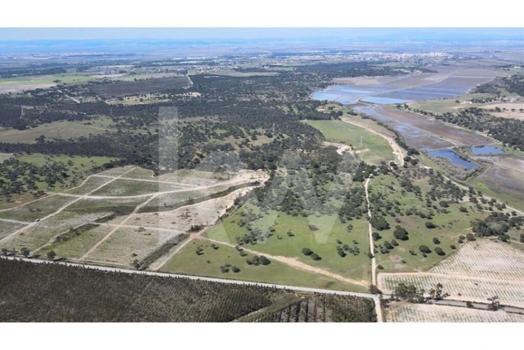 Quinta T4 para Venda em Benavente Foto 26