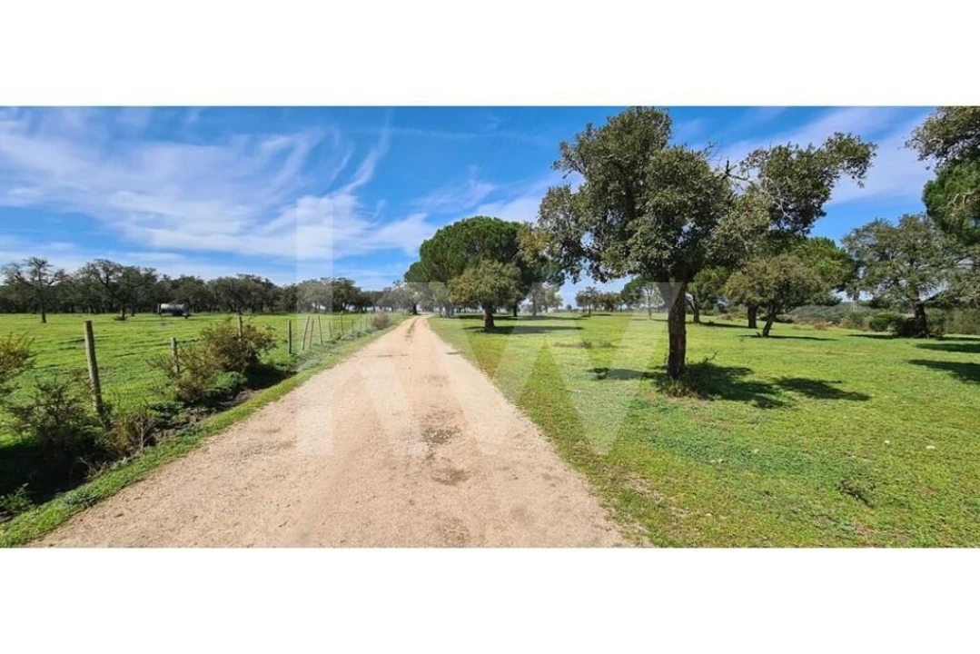 Quinta T4 para Venda em Benavente Foto 2