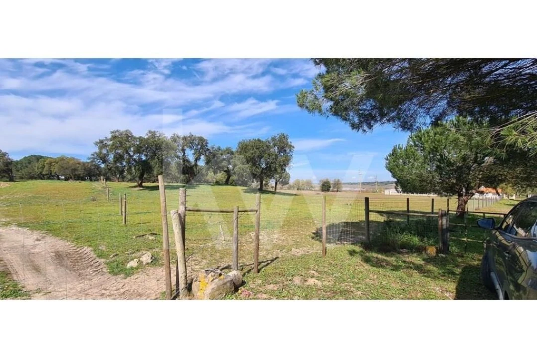 Quinta T4 para Venda em Benavente Foto 10